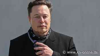 Elon Musk: Auswärtiges Amt reagiert auf Post zu Migranten