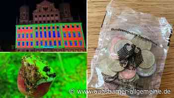 Augsburger Anekdoten: Was ist grün und schmeckt nach Radieschen?