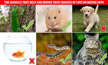 The animals that boost your chances of love on dating apps - and those that will have people swiping left (and it's bad news for dog lovers!)