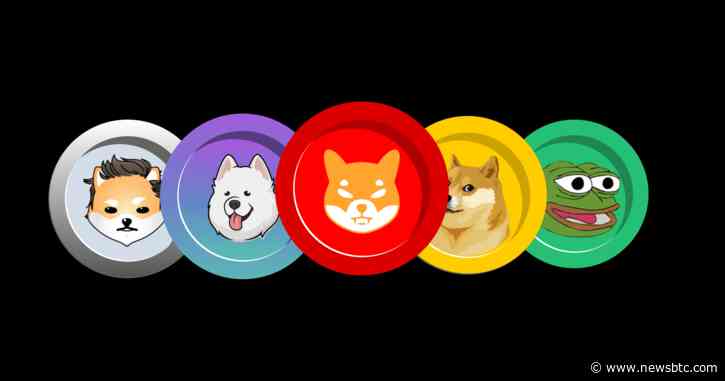 Crypto Analyst Reveals Which Meme Coin Will Topple Dogecoin In The Bull Market