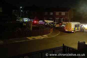 Police helicopter called as officers swarm Palmersville street in late-night incident