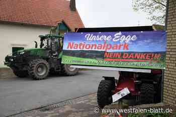 Nationalpark Egge: Warum die Holzindustrie Angst um den Wald hat