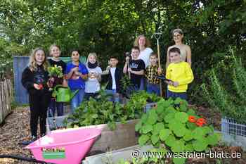 Blumen und Salat im Obernbecker Schulgarten