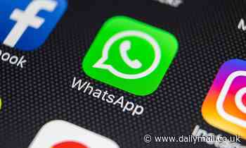 Is WhatsApp plotting to finally release update users have wanted for years?