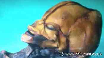 After Mexico's 'alien' stunt, five other famous occasions when the so-called remains of extraterrestrials were found on Earth