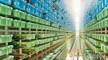 Lego Is a Company Haunted by Its Own Plastic