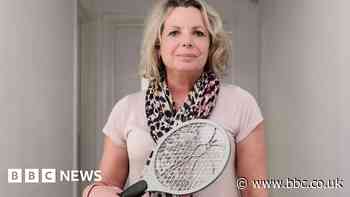 How Rushden found itself caught up in a fly 'nightmare'