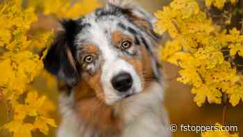 Fstoppers Photographer of the Month (September 2023): Yong Lei van Barlingen