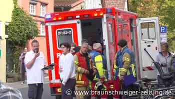 Hornissenangriff bei Volkslauf - acht Verletzte