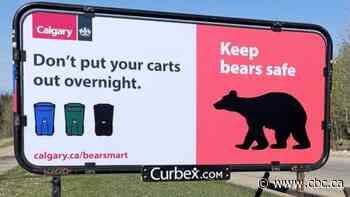 Discovery Ridge temporarily declared as 'wildlife affected' after a rise in bear sightings