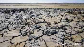 Superkontinent Pangäa Ultima: Kommt das Ende der Säugetiere durch Hitze?