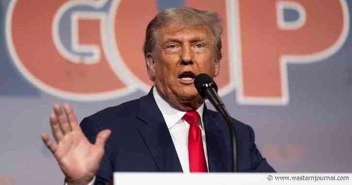 Trump Tax Returns Leak Suspect Charged, Faces 5 Years Prison Time if Convicted