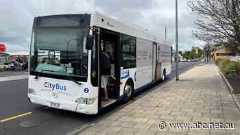 SA's second-largest city to keep 'inadequate' bus system after 30 years without change