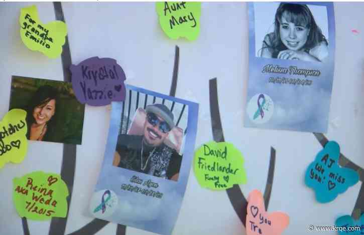 Locals gather to support suicide prevention with walk