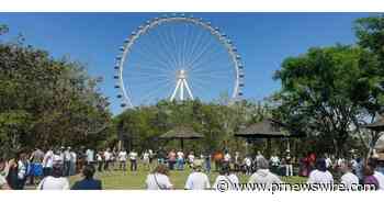 Envelhecimento ativo na Liga Solidária