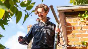 Black mould and exposed asbestos: Meet the TikToker giving a voice to renters