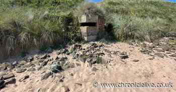 Dog walker discovers WW2 pillbox on Northumberland beach which looks like 'Sir Rod Stewart'