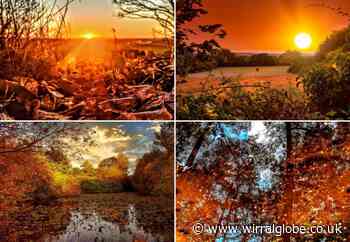 Amazing autumnal vibes captured on camera in Wirral