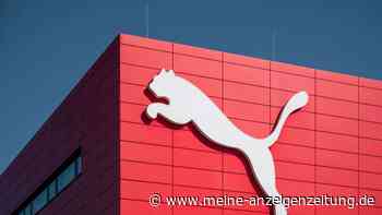 Geburtstag für die Raubkatze - Puma wird 75