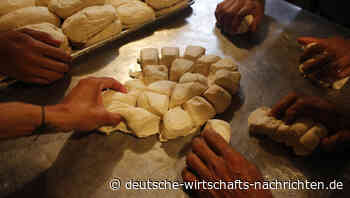 Dank Russland: Weizen so billig wie zuletzt vor 3 Jahren