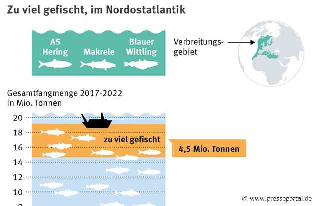 Überfischung und politisches Missmanagement bringen den Hering an eine kritische Grenze / Fangmengen sollen um 44% sinken