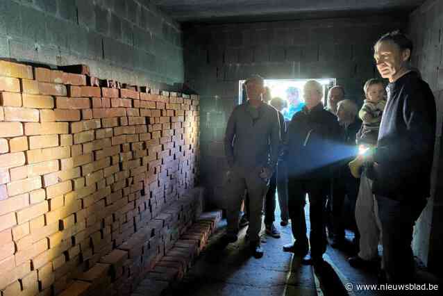 Vleermuizen hebben eigen villa om te overwinteren: “Grootste verblijf ooit gebouwd in Vlaanderen”