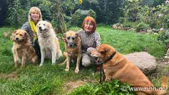 Seit 30 Jahren rund um Warnemünde im Einsatz für Tiere in Not