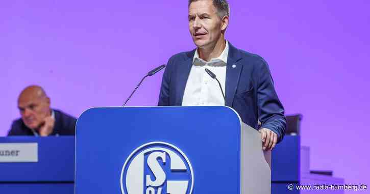Schalke: CEO gefunden, Trainer gesucht, Knäbel gefährdet