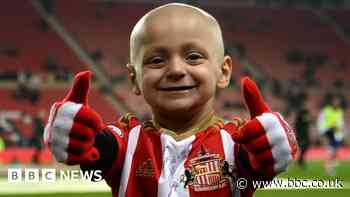 Bradley Lowery: Two held over 'taunts' aimed at Sunderland fans