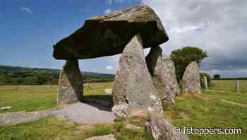 A Review of the IRIX 15mm f/2.4 Dragonfly Lens