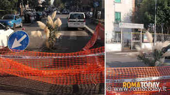 Alessandrino, la storia della voragine dimenticata da tutti e "abbellita" dai cittadini