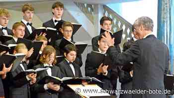 Kirchenmusik in Altensteig: Schöpfung eint Orgel und Gesang