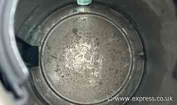 I removed kettle limescale using a 25p cupboard essential to reduce ‘running costs’