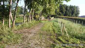 Neuer Lebensraum für die Natur