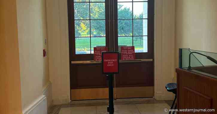 Critical Detail Seen in Alcove Where Rep. Bowman Pulled the Fire Alarm - There's No Way He Didn't Notice This