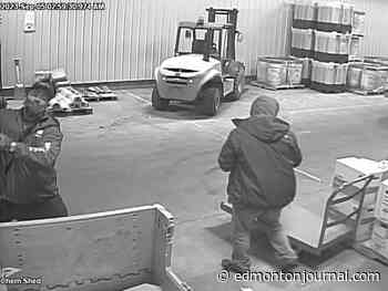 Mounties seek Fort Saskatchewan break-and-enter suspects