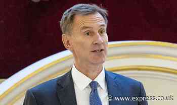 Jeremy Hunt warned pension reforms risk shrinking funds with taxpayers forced to foot bill
