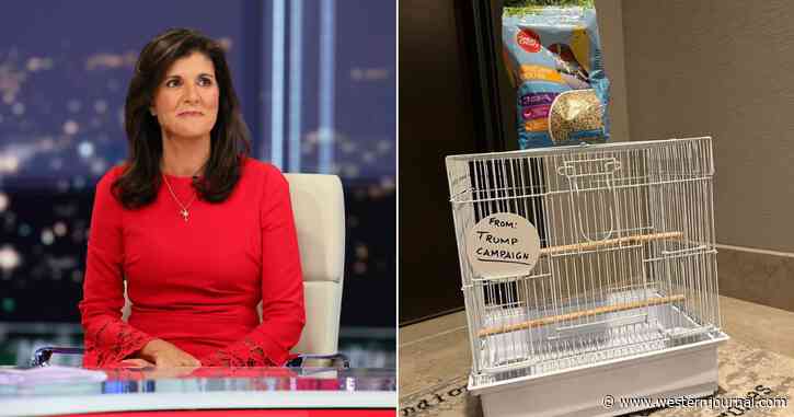 Nikki Haley Claims Trump Followed Up 'Birdbrain' Insult with Brutal Delivery to Her Hotel Room