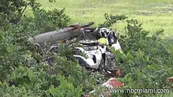 Palm tree crushes car in fatal Oakland Park crash