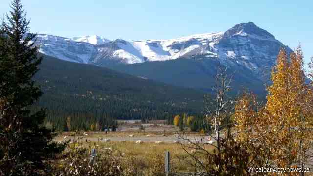 Couple and dog killed by bear at Banff National Park