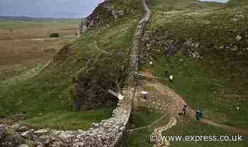 Sycamore Gap Tree felling probe update as police seize a chainsaw near to tragic scene