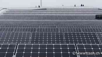 Solarbranche in Europa braucht hunderttausende Fachkräfte