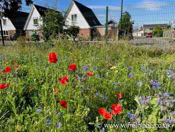 How developer scheme helped hundreds of Ellesmere Port pupils