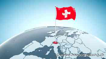 Starke Stütze des Finanzplatzes