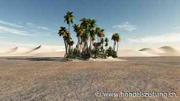 Inhalt und Verpackung