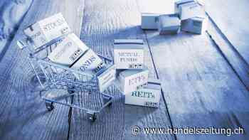 Nie in Kuhmist diversifizieren