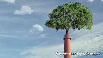 Alles auf null setzen