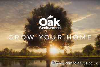Oak Furnitureland explores treehouses perched in 'biggest oak tree in the world'