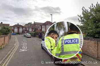 Boy, 16, dies in fatal stabbing in Kendal Gardens, Edmonton