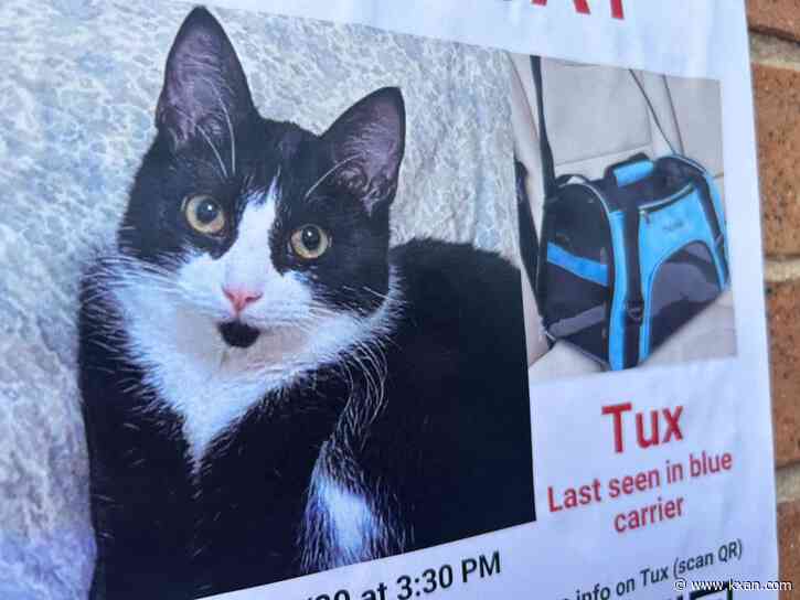 Cat reunited with owner after Lyft trip separates them